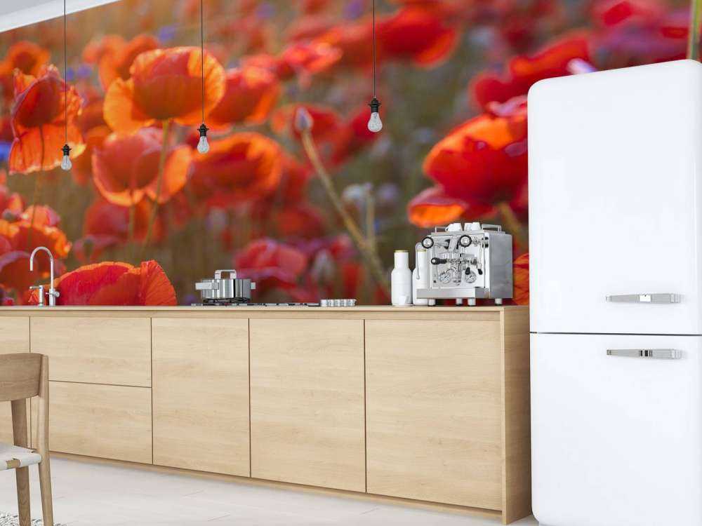 Poppies and cornflowers