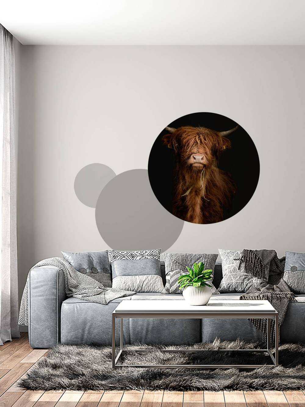 Portrait Scottish Highlander