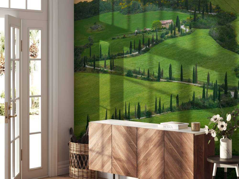 Winding road with cypresses