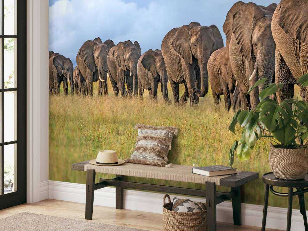 The Land Of The Giants