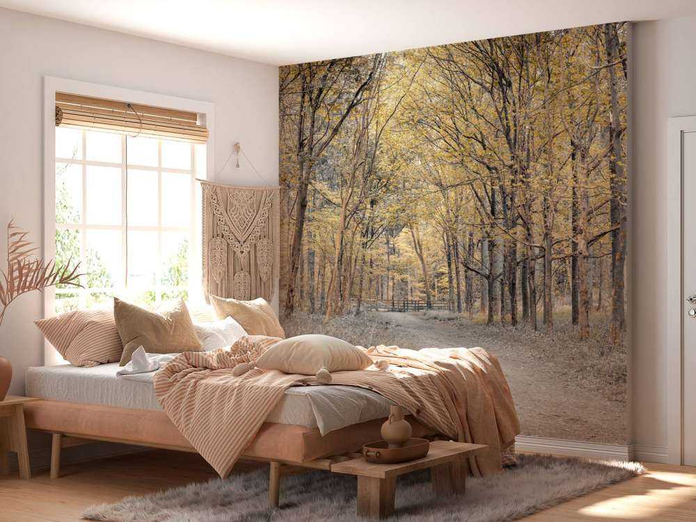 Forest road during autumn