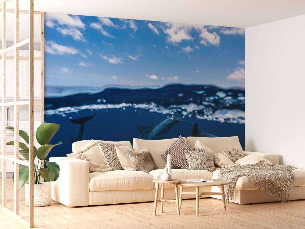 Between air and water with the dolphins