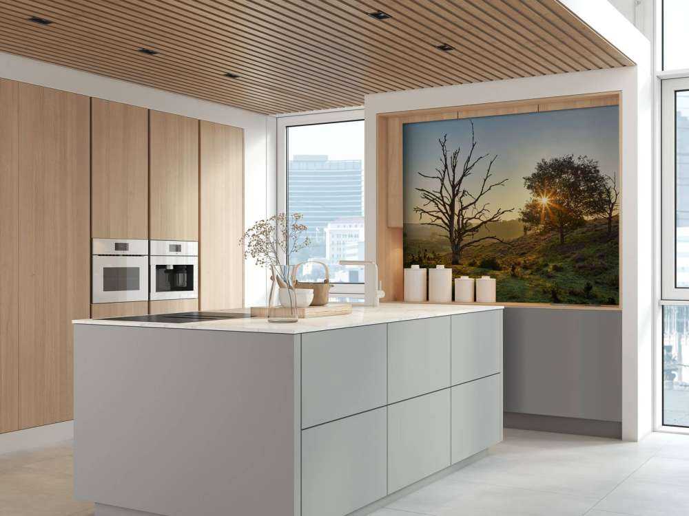 Rising sun on the heath