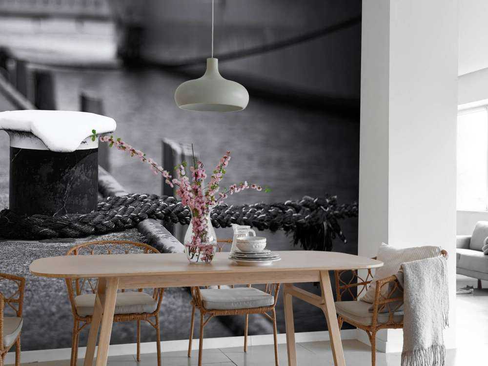 Moored passenger ship  