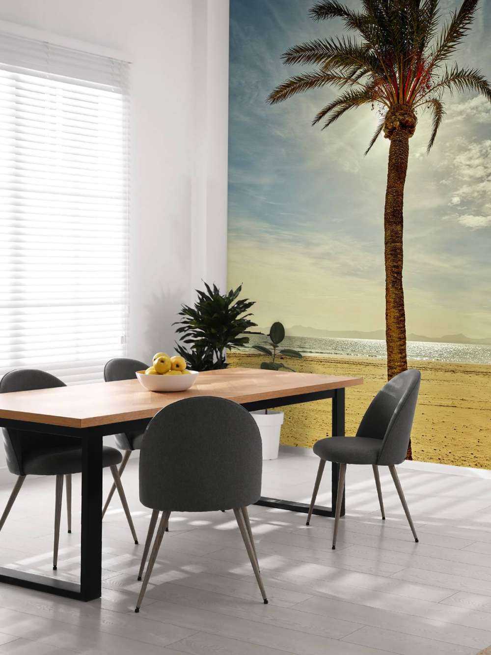 Palm tree in the sun