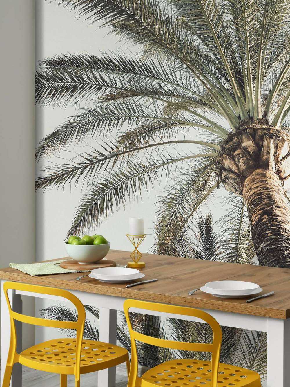 Palm in sun