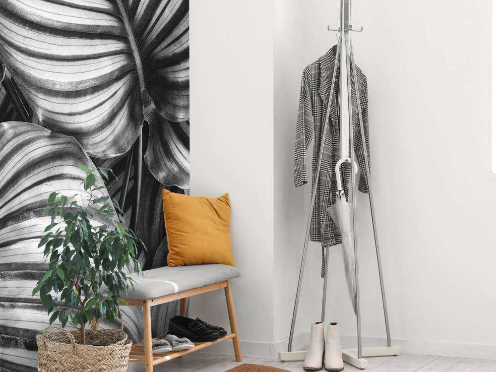 Plant with striped leaves