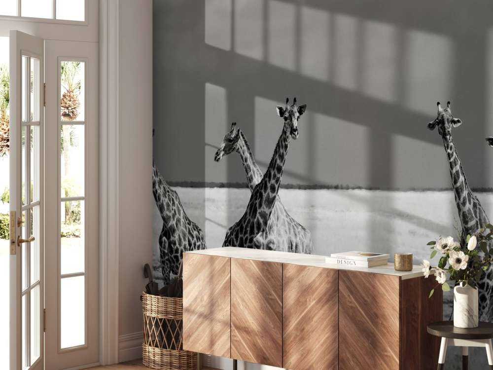 Look Girl Strange Animals