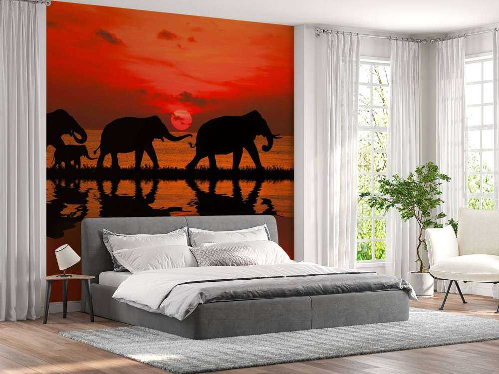 Olifanten en zonsondergang