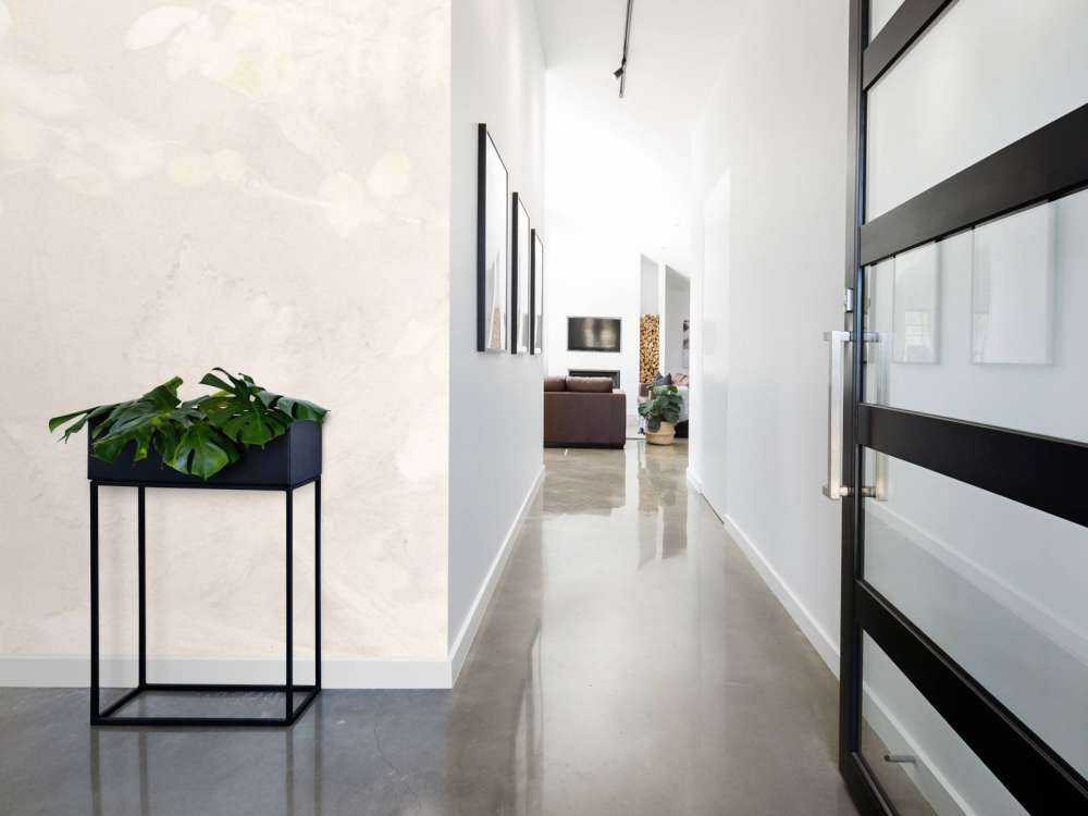 Snowberry and wild blackberry - shadow play