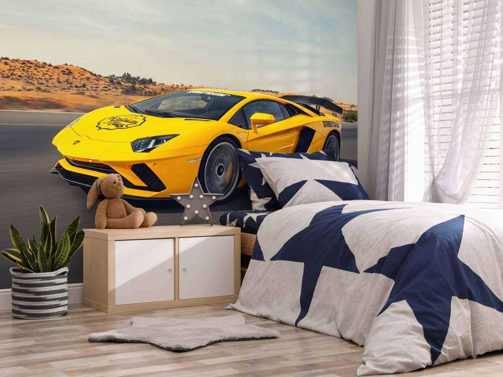 Lamborghini Aventador in action