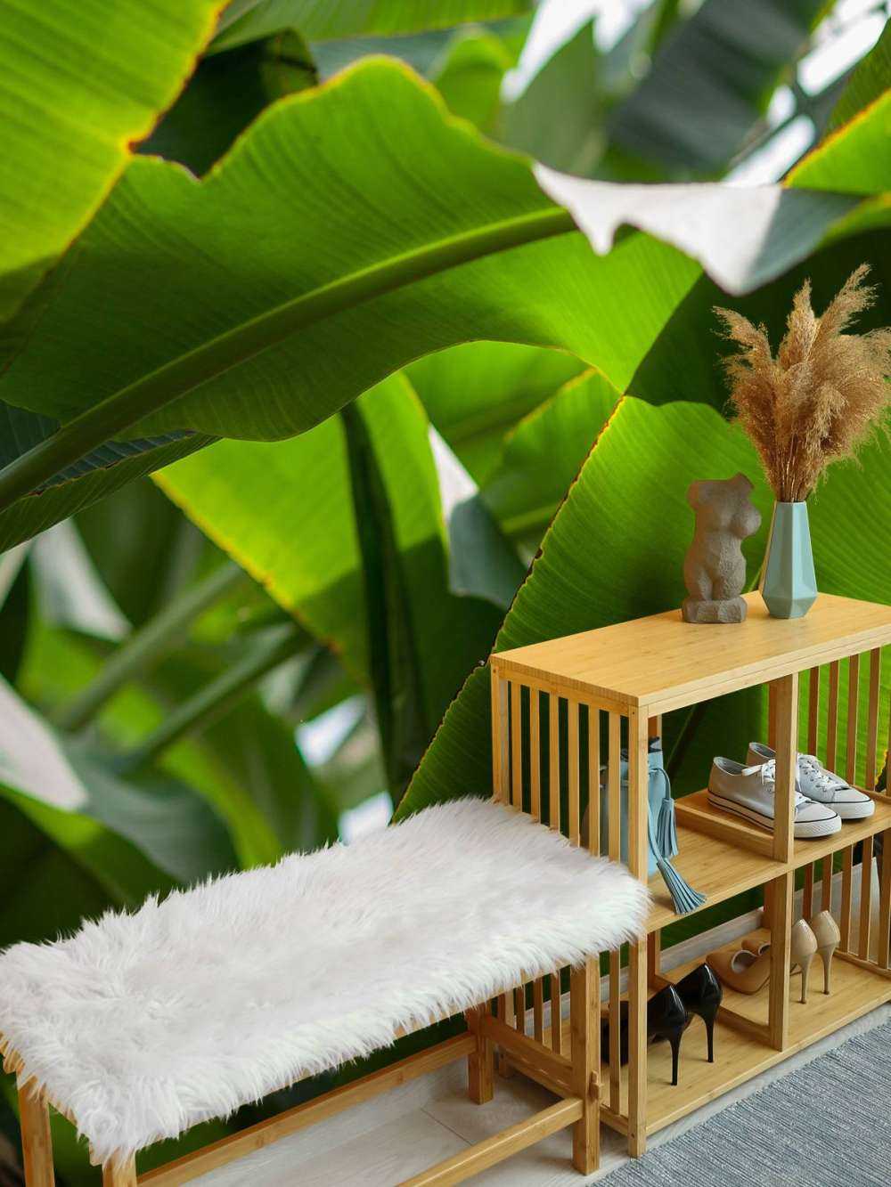 Palm leaves