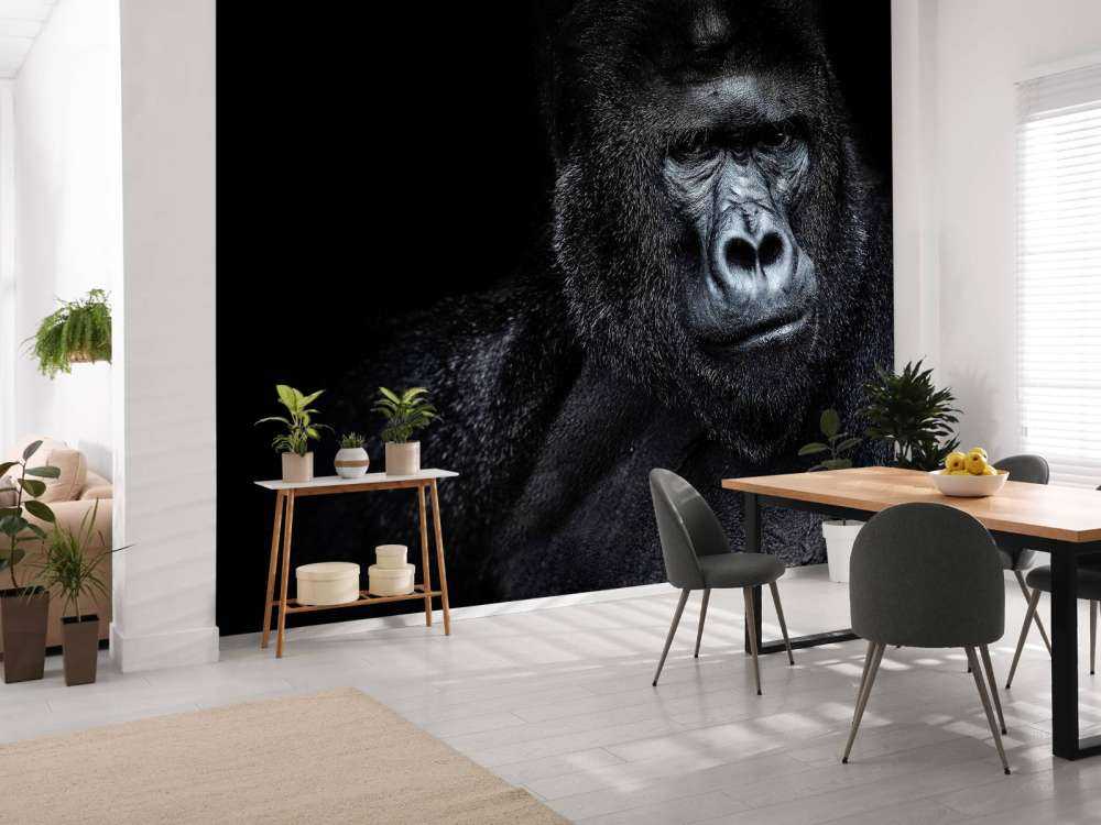 Gorilla