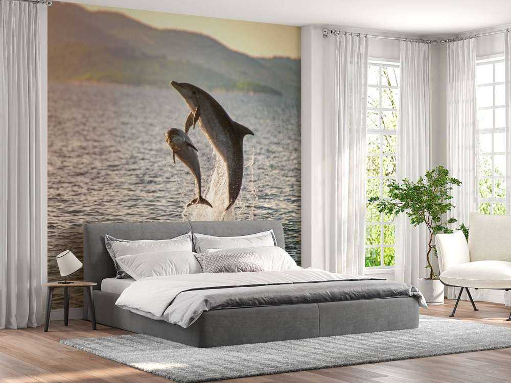 Two jumping dolphins