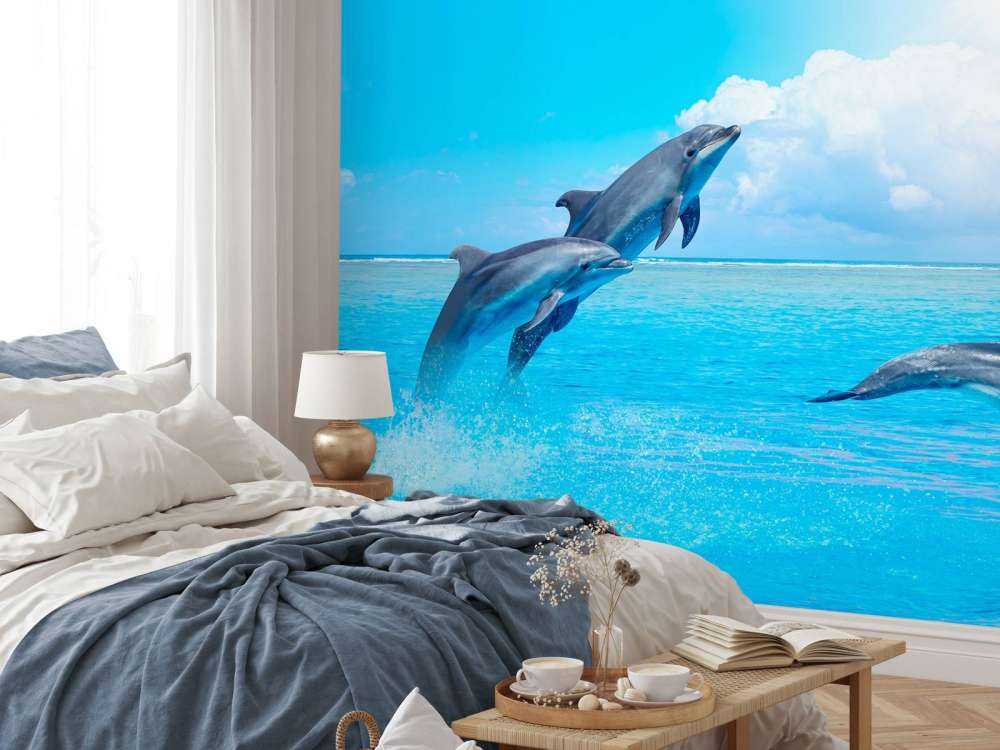 Dolphins in the ocean