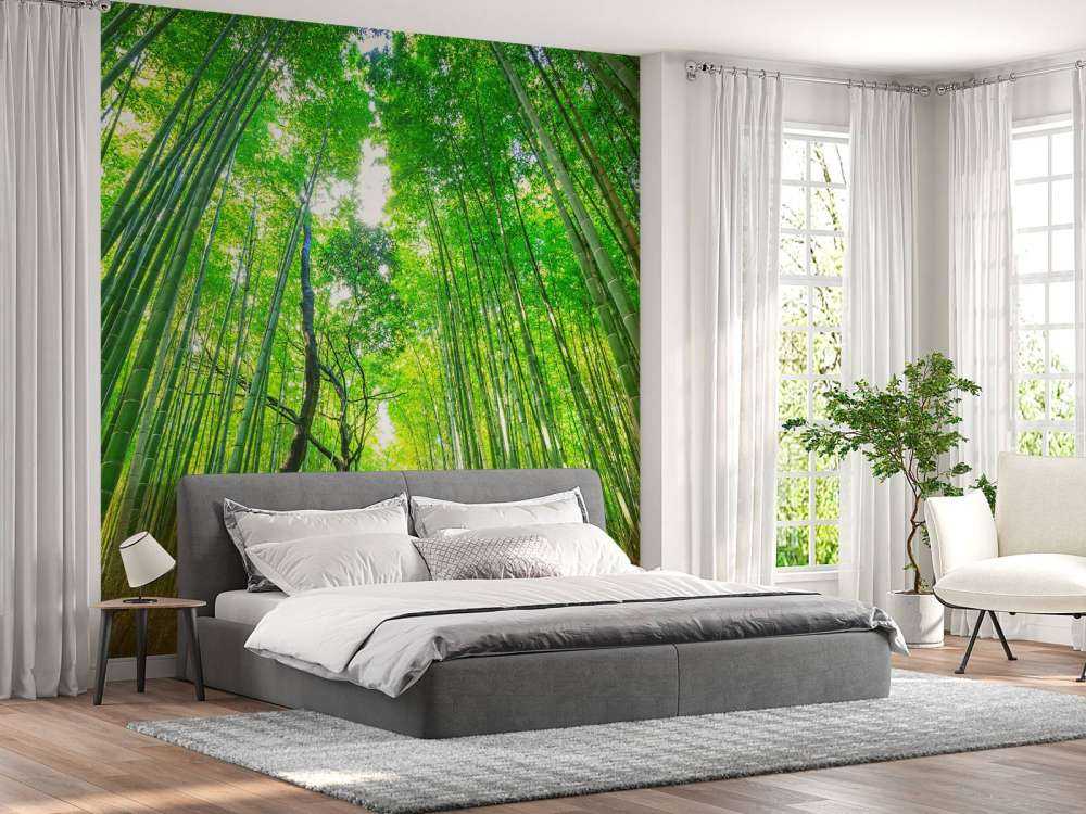 Bamboo forest of Arashiyama