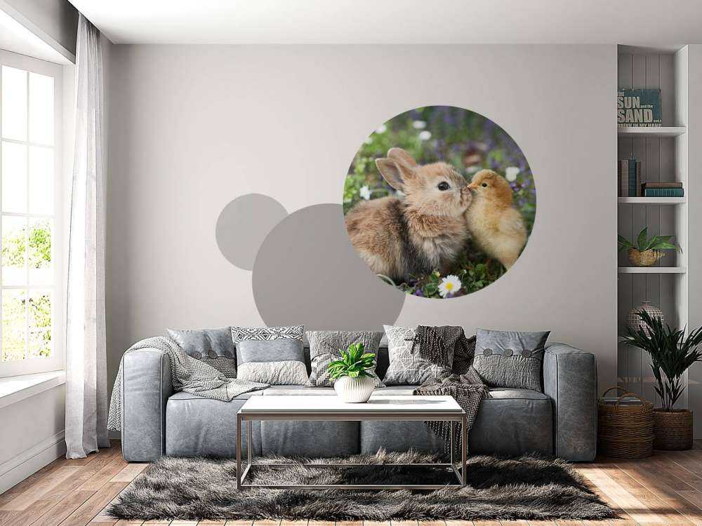 Rabbit and chick