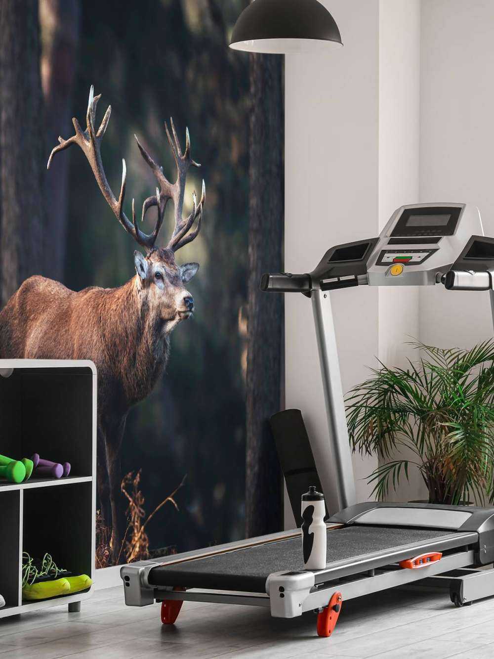 Deer on a hill