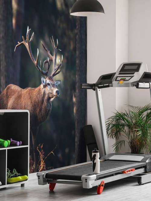 Deer on a hill