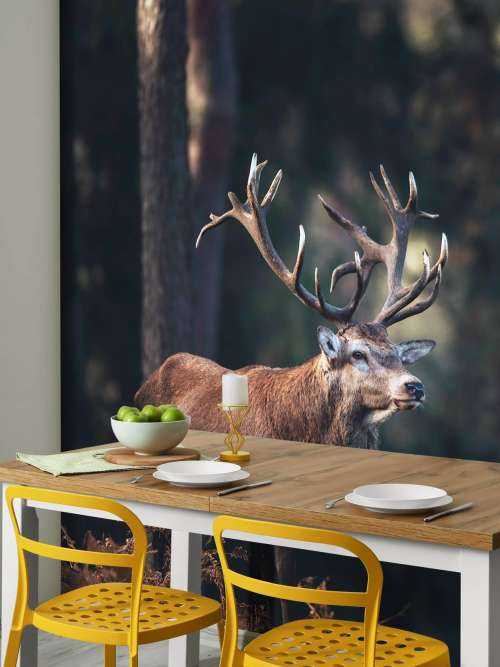 Deer on a hill