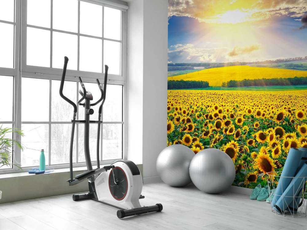 Zonnebloemen Veld met Opkomende Zon