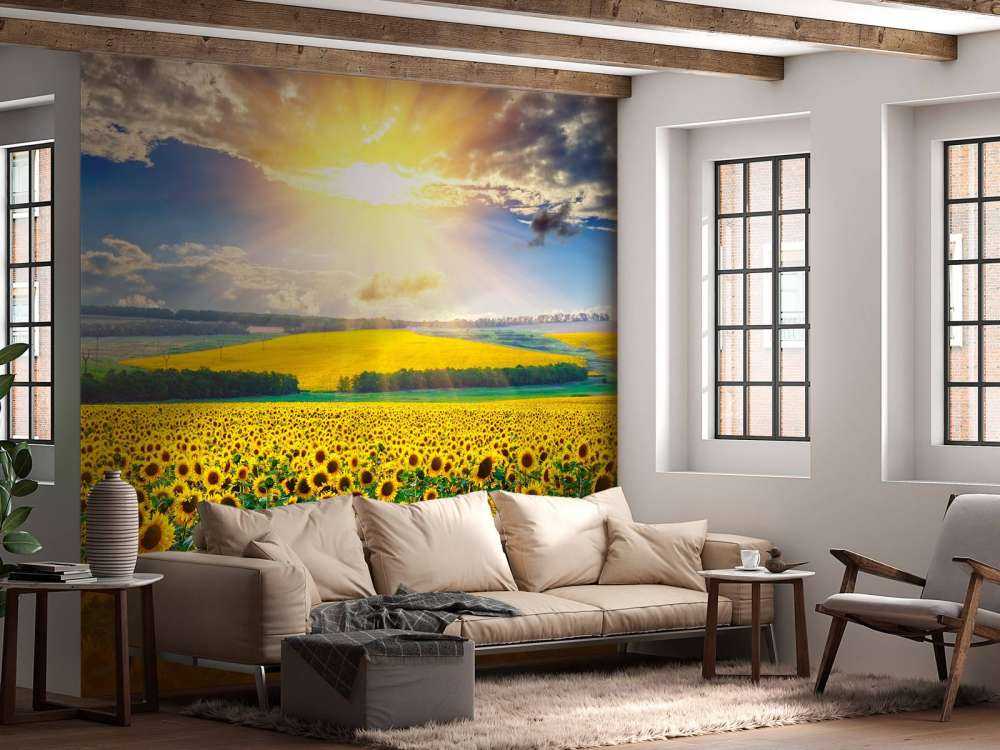 Zonnebloemen Veld met Opkomende Zon