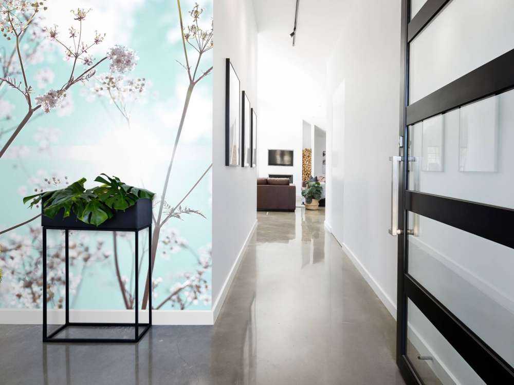 Almond blossom in the sun