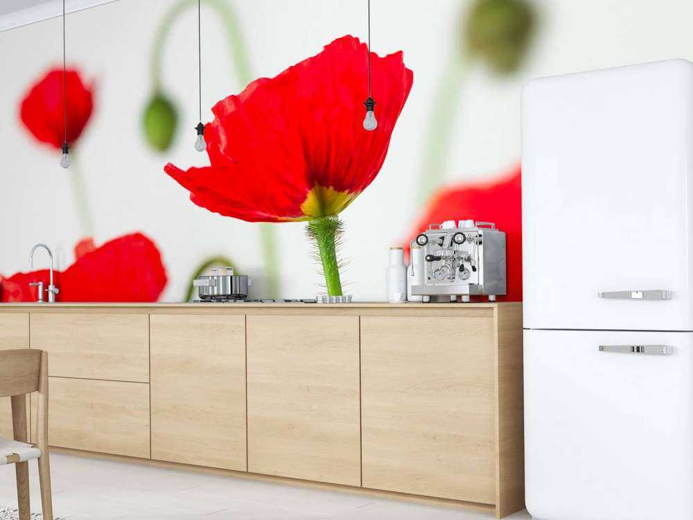 Close-up red poppies