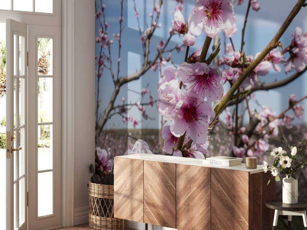 Light Pink Blossoms