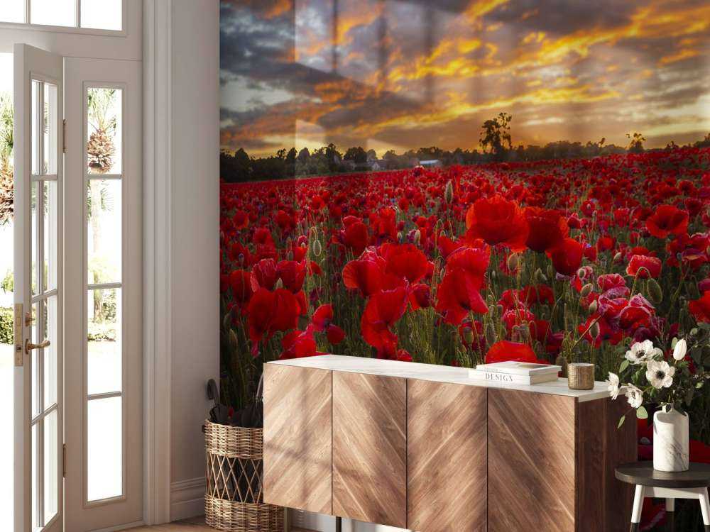 Poppies field with beautiful sky