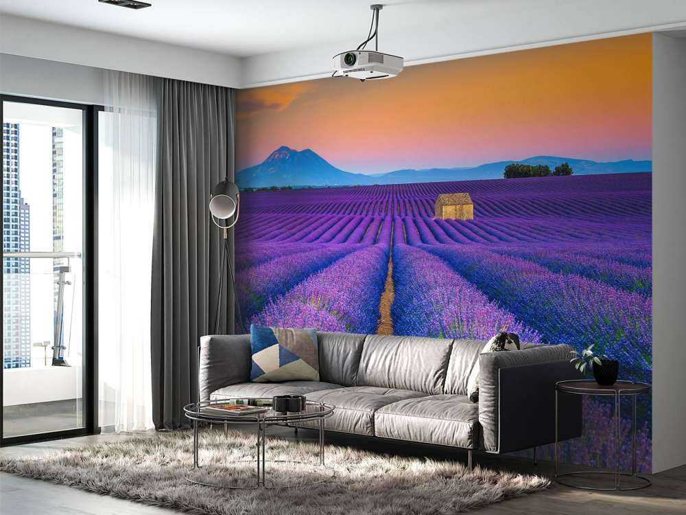 Prachtig bloemenveld van lavendel