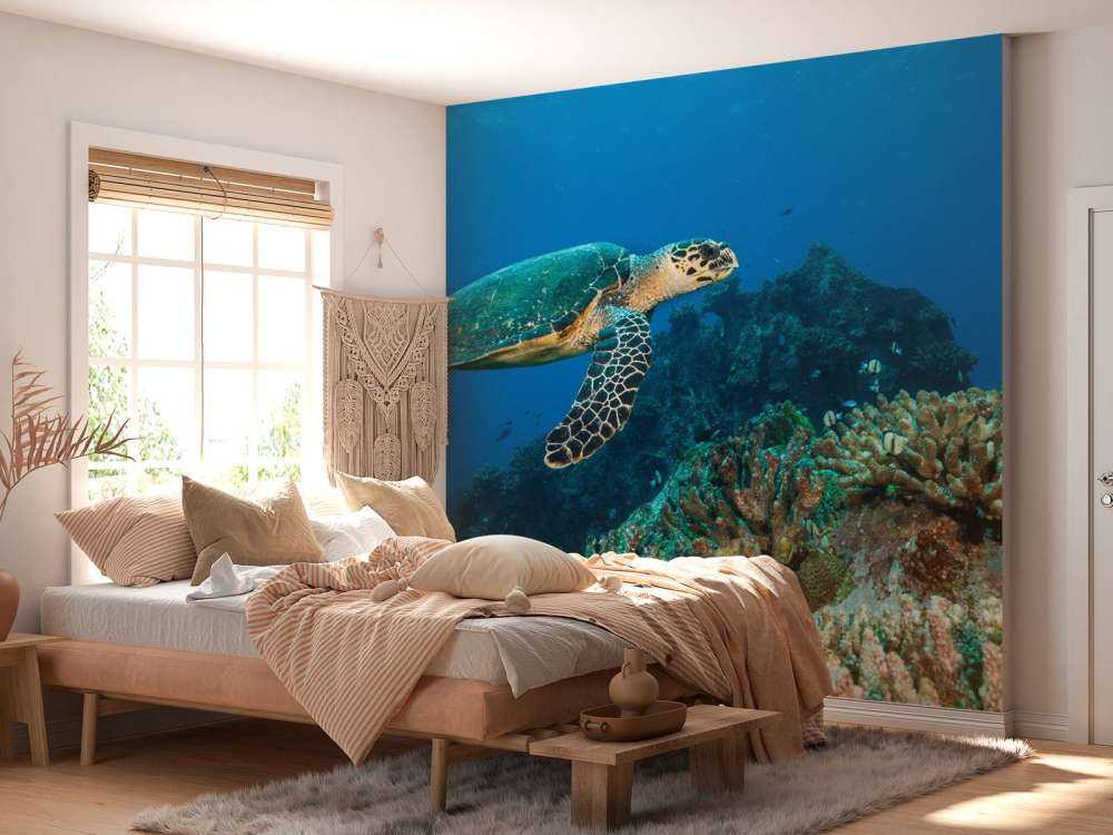 Karetschildpad bij een koraalrif