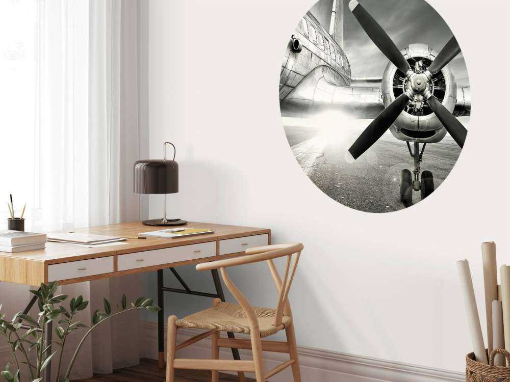 Vintage vliegtuig in zwart-wit