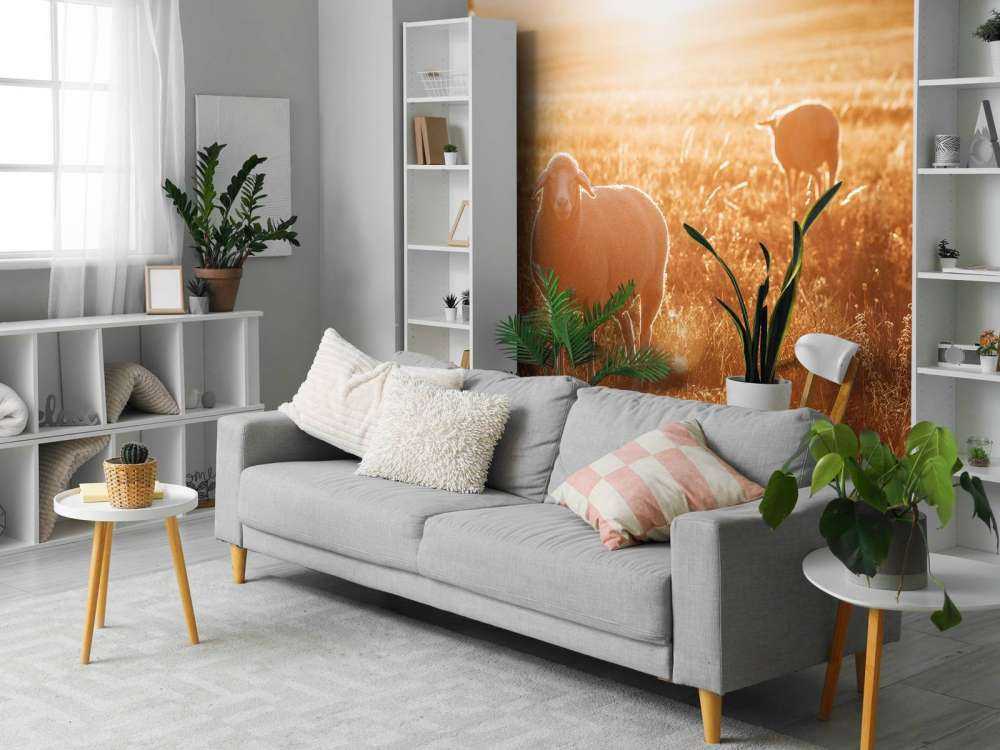 Sheep in beautiful pasture