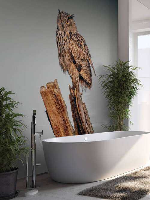 Eagle owl