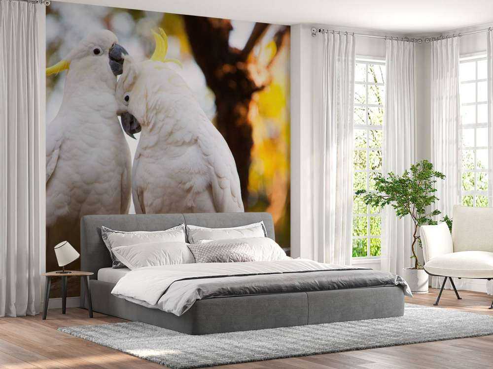 Cockatoo couple