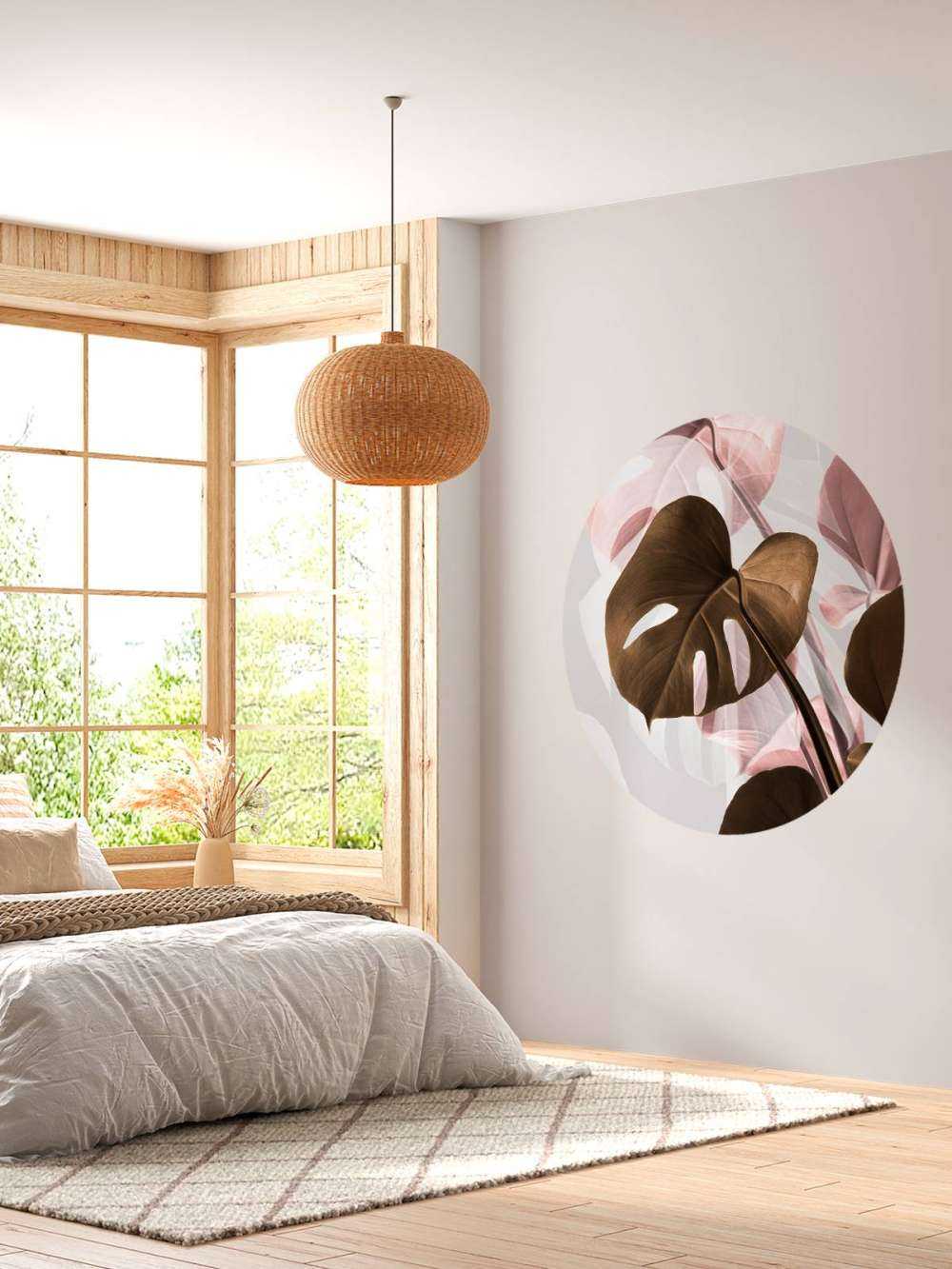 Monstera Creative 11