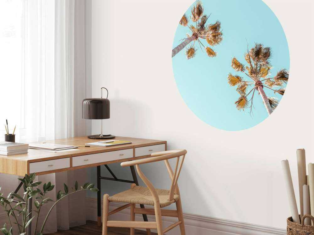 Palm trees with blue sky