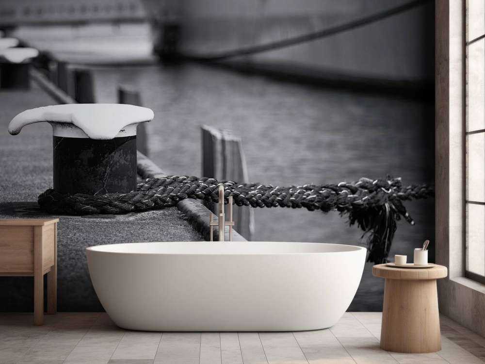 Moored passenger ship  