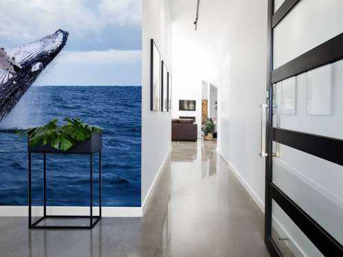Jumping whale