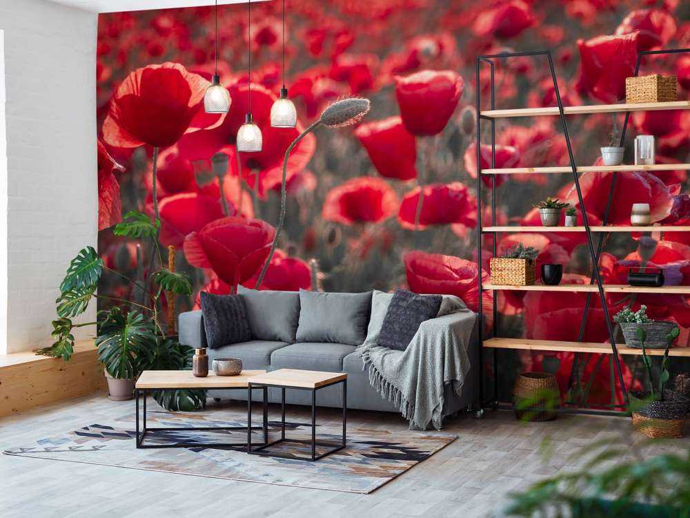 Poppies in dark style