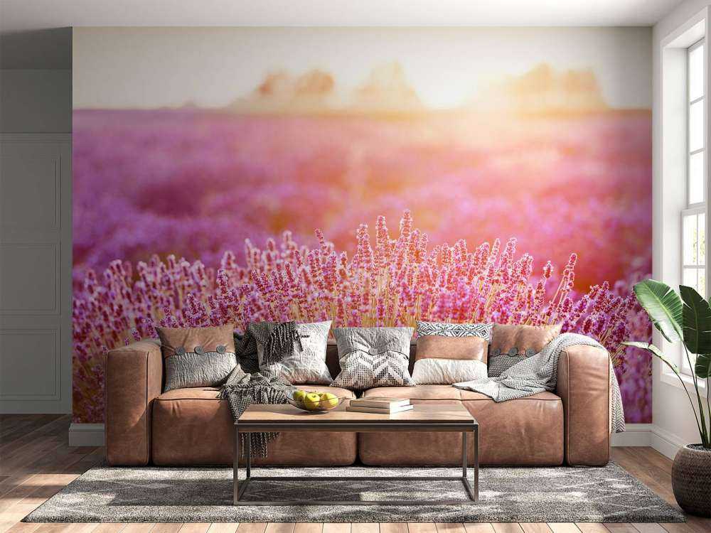 Close-up lavender flowers