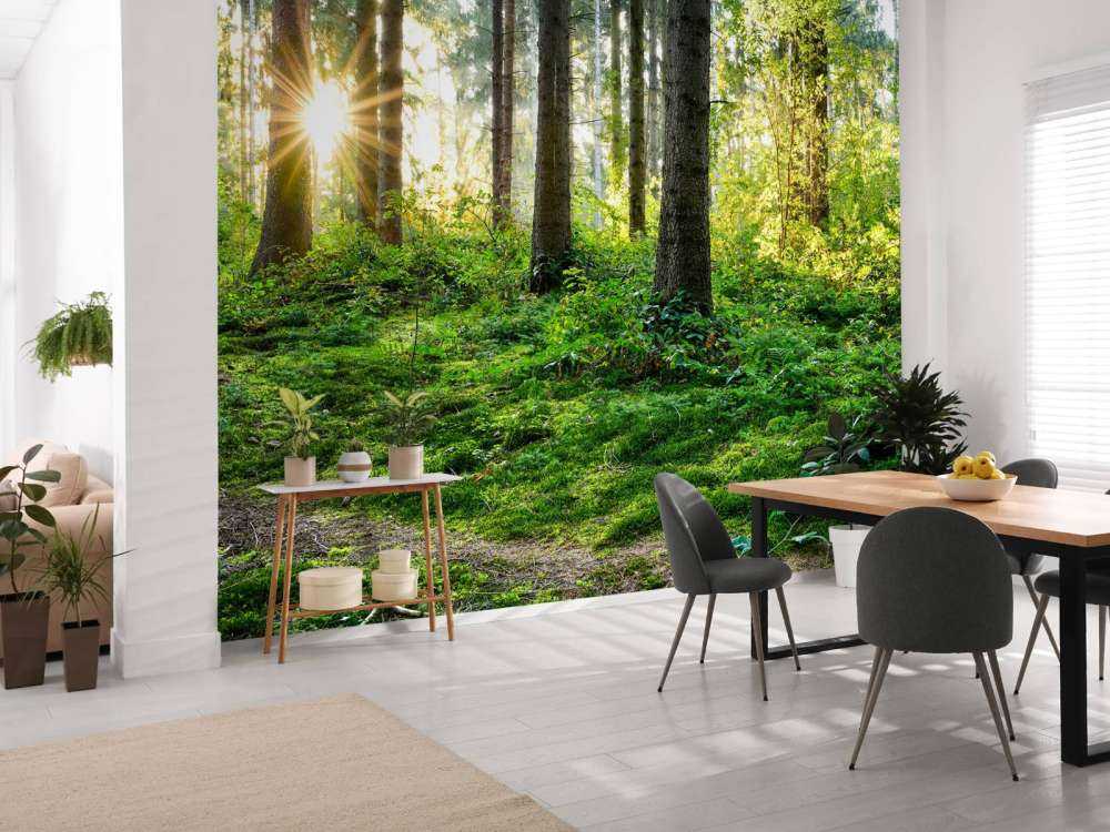 Forest panorama in spring