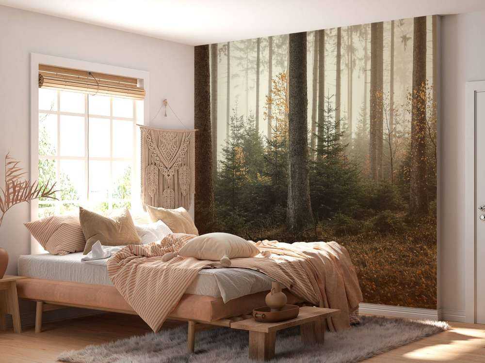 The Kaufunger forest