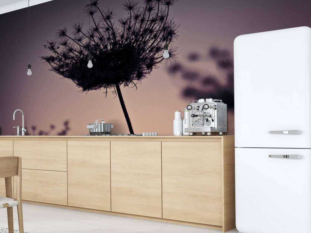 Silhouette of flowers