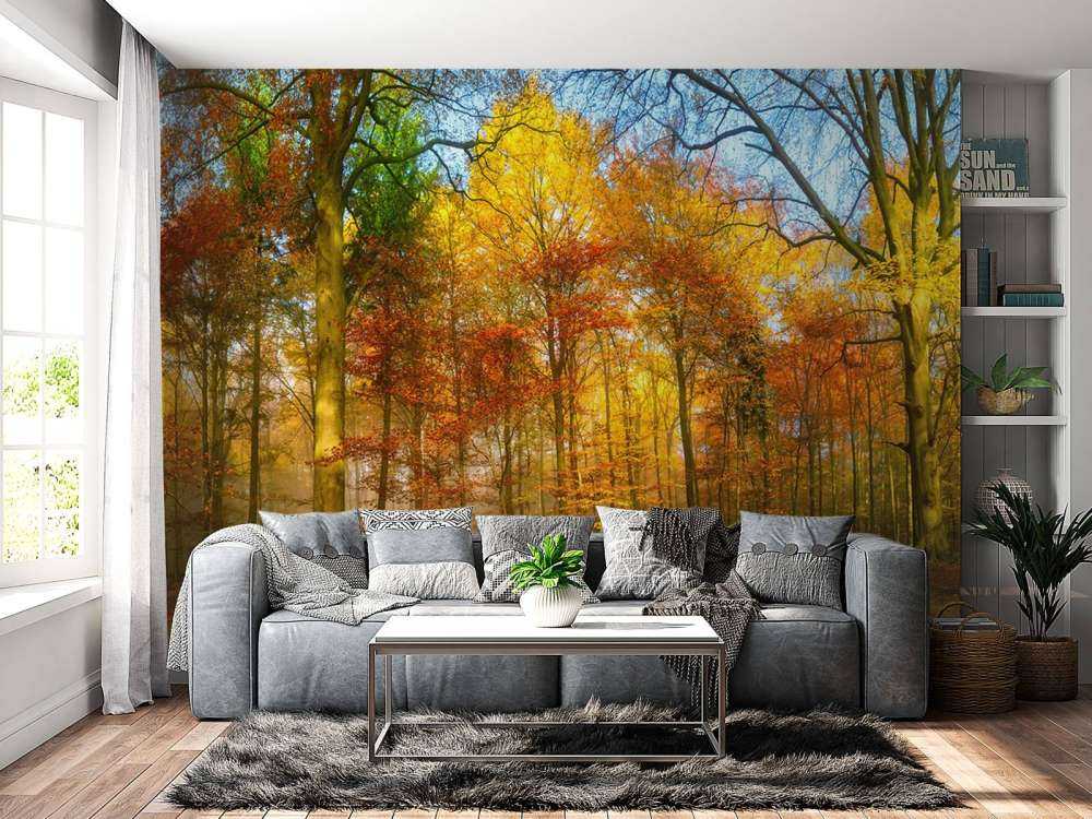 Colorful forest panorama