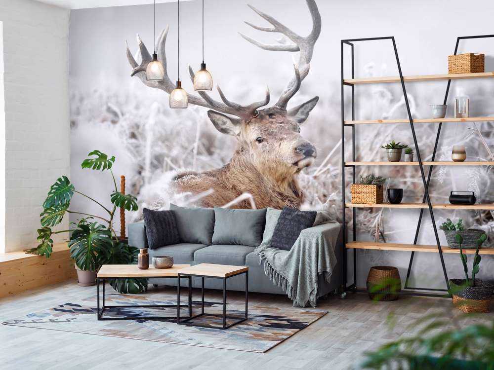 Red Deer's Winter Dream