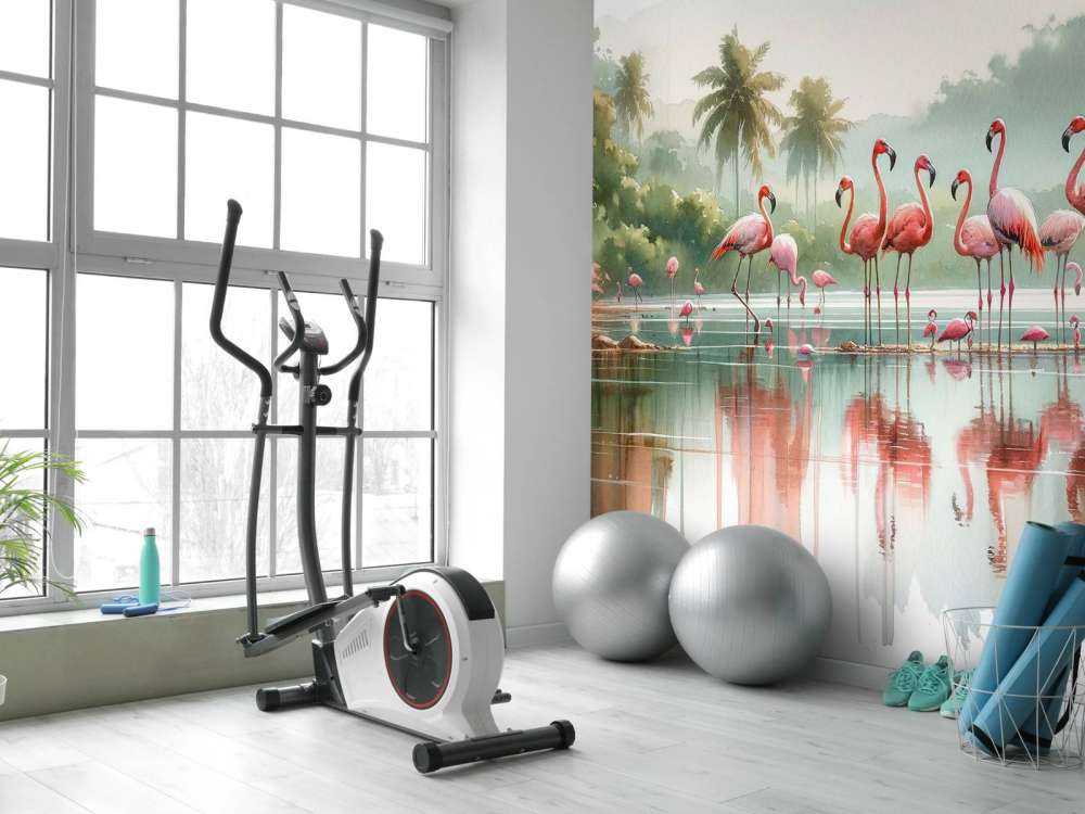 Morning Reflections of Flamingos