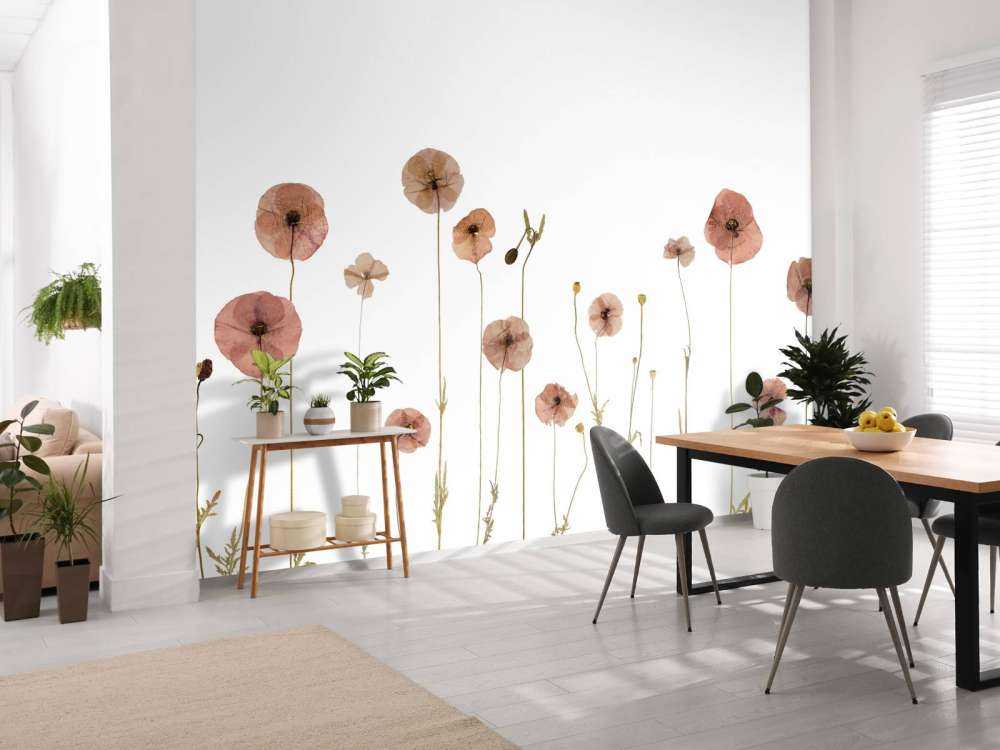 Poppy flower field colourful