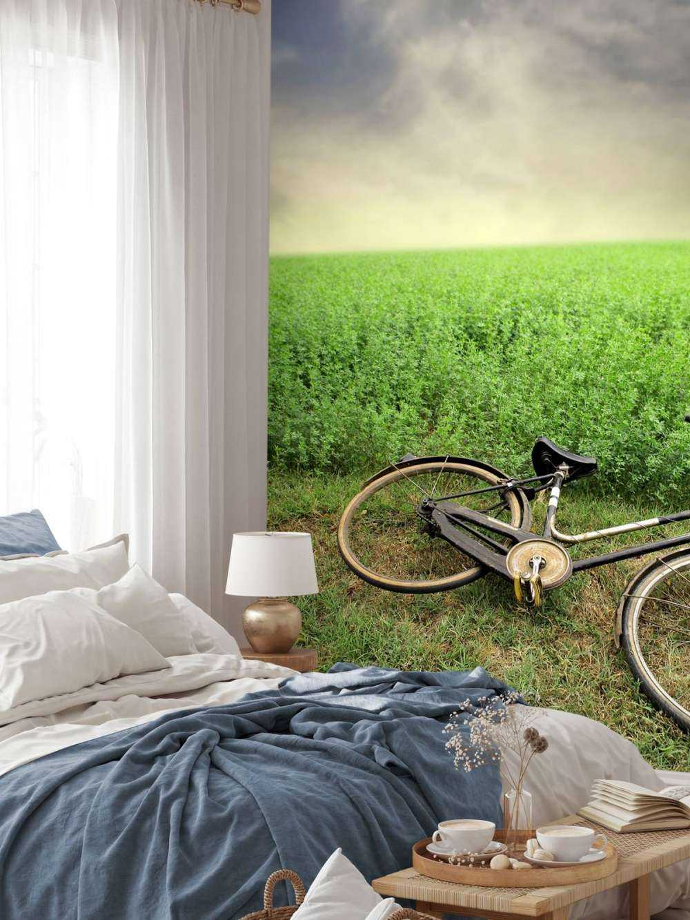 Old bicycle